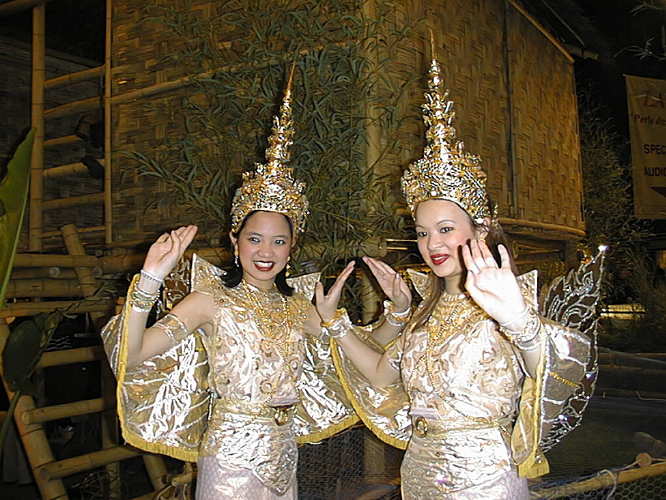 aImage29.jpg (68892 octets)